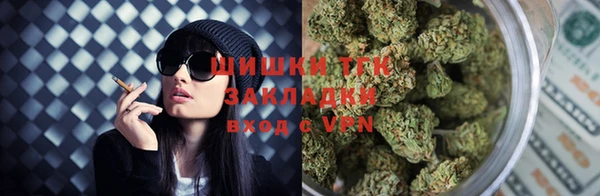 бошки Ладушкин