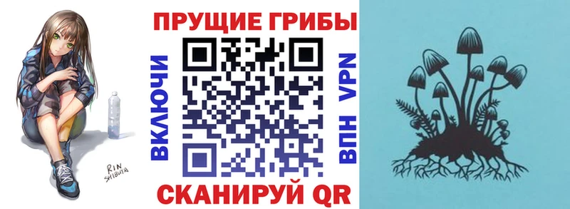 площадка наркотические препараты  Баймак  Псилоцибиновые грибы MAGIC MUSHROOMS  где продают  