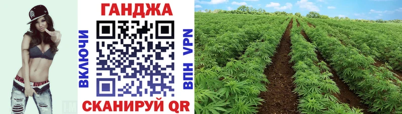 Шишки марихуана план  Баймак 
